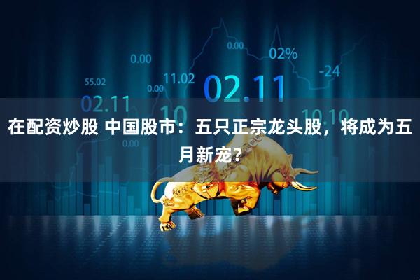 在配资炒股 中国股市：五只正宗龙头股，将成为五月新宠？